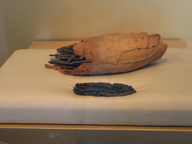 Brooklyn Museum