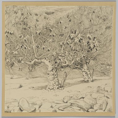James Tissot (Nantes, France, 1836–1902, Chenecey–Buillon, France). <em>Fig-tree, Valley of Hinnom</em>, 1886–1887 or 1889. Ink on paper mounted on board, Sheet: 6 1/4 x 6 1/4 in. (15.9 x 15.9 cm). Brooklyn Museum, Purchased by public subscription, 00.159.446 (Photo: Brooklyn Museum, 00.159.446_PS2.jpg)