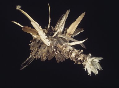 Pomo. <em>Doctor's Headdress (guk-tsu-shua)</em>, 1906–1907. Crow feather, redbud or dogwood, wood, cotton string, Indian hemp, 25 x 39 x 29 in. (63.5 x 99.1 x 73.7 cm). Brooklyn Museum, Museum Expedition 1908, Museum Collection Fund, 08.491.8952. Creative Commons-BY (Photo: Brooklyn Museum, 08.491.8952.jpg)