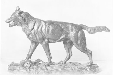 Antoine-Louis Barye (French, 1795-1875). <em>Growling Wolf</em>. Bronze, With base: 9 1/2 x 4 x 15 1/4 in. (24.1 x 10.2 x 38.7 cm). Brooklyn Museum, Purchased by Special Subscription, 10.165. Creative Commons-BY (Photo: Brooklyn Museum, 10.165_glass_bw.jpg)