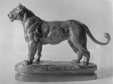 Antoine-Louis Barye (French, 1795-1875). <em>A Senegal Lioness</em>. Bronze, With base: 8 x 3 1/4 x 11 in. (20.3 x 8.3 x 27.9 cm). Brooklyn Museum, Purchased by Special Subscription, 10.171. Creative Commons-BY (Photo: Brooklyn Museum, 10.171_glass_bw.jpg)
