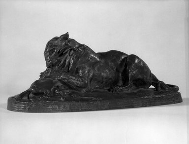 Antoine-Louis Barye (French, 1795-1875). <em>A Tiger Devouring a Gazelle</em>., 5 1/4 x 12 5/8 x 4 3/4 in. (13.3 x 32.1 x 12.1 cm). Brooklyn Museum, Purchased by Special Subscription, 10.174. Creative Commons-BY (Photo: Brooklyn Museum, 10.174_bw.jpg)