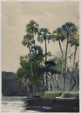 Winslow Homer (American, 1836-1910). <em>Homosassa River</em>, 1904. Watercolor with additions of gum over graphite on cream, moderately thick, moderately textured wove paper, 19 11/16 x 13 7/8 in. (50 x 35.2 cm). Brooklyn Museum, Museum Collection Fund and Special Subscription, 11.542 (Photo: Brooklyn Museum, 11.542_PS20.jpg)