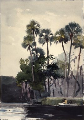 Winslow Homer (American, 1836-1910). <em>Homosassa River</em>, 1904. Watercolor with additions of gum over graphite on cream, moderately thick, moderately textured wove paper, 19 11/16 x 13 7/8 in. (50 x 35.2 cm). Brooklyn Museum, Museum Collection Fund and Special Subscription, 11.542 (Photo: Brooklyn Museum, 11.542_SL1.jpg)