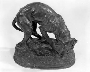 Alexander Phimister Proctor (American, 1862-1950). <em>Setter</em>, 1894. Bronze, 7 1/2 x 8 x 5 in., 91 lb. (19.1 x 20.3 x 12.7 cm, 41.28kg). Brooklyn Museum, Gift of George D. Pratt, 12.899. Creative Commons-BY (Photo: Brooklyn Museum, 12.899_bw.jpg)