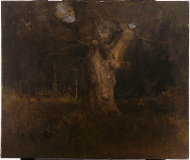 George Inness (American, 1825–1894). <em>Royal Beech in New Forest, Lyndhurst</em>, 1887. Oil on canvas, 25 x 30 x 3 in. (63.5 x 76.2 x 7.6 cm). Brooklyn Museum, Gift of Mrs. Carll H. de Silver in memory of her husband, 13.76 (Photo: Brooklyn Museum, 13.76_SL3.jpg)