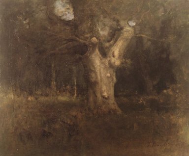 George Inness (American, 1825-1894). <em>Royal Beech in New Forest, Lyndhurst</em>, 1887. Oil on canvas, 25 x 30 x 3 in. (63.5 x 76.2 x 7.6 cm). Brooklyn Museum, Gift of Mrs. Carll H. de Silver in memory of her husband, 13.76 (Photo: Brooklyn Museum, 13.76_transp3350.jpg)