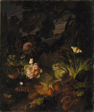 In the manner of Otto Marseus van Schrieck (Dutch, 1619/20-1678). <em>Flowers, Snake and Butterflies</em>, 17th century. Oil on canvas, 23 x 19 1/2 in. (58.4 x 49.5 cm). Brooklyn Museum, Gift of A. Augustus Healy, 14.582 (Photo: Brooklyn Museum, 14.582_SL1.jpg)