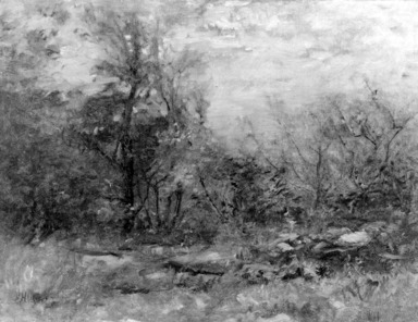 Alexander Helwig Wyant (American, 1836-1892). <em>Autumn Scene, Asheville, North Carolina</em>, ca. 1892. Oil on canvas, 12 5/16 x 16 in. (31.2 x 40.6 cm). Brooklyn Museum, Bequest of Charles A. Schieren, 15.302 (Photo: Brooklyn Museum, 15.302_acetate_bw.jpg)