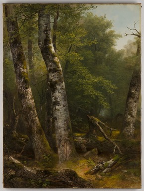 Asher B. Durand (American, 1796-1886). <em>Landscape (Birch and Oaks)</em>, ca. 1855-1857. Oil on canvas, 23 15/16 × 17 7/8 in. (60.8 × 45.4 cm). Brooklyn Museum, Bequest of Charles A. Schieren, 15.326 (Photo: Brooklyn Museum, 15.326_PS22.jpg)