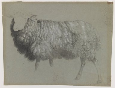 Albert Bierstadt (American, born Germany, 1830–1902). <em>Study of a Ewe</em>, ca. 1855. Black crayon and red and white chalk on blue-green, medium-weight, slightly textured laid paper., sheet: 10 9/16 × 14 1/16 in. (26.8 × 35.7 cm). Brooklyn Museum, Purchased with funds given by Mr. and Mrs. Leonard L. Milberg, 1990.101.2 (Photo: Brooklyn Museum, 1990.101.2_IMLS_PS3.jpg)