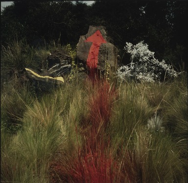 Lourdes Grobet (Mexican, 1940-2022). <em>Untitled (Rocks Painted Yellow, Red, White, Grass Painted Red)</em>, ca. 1986. Silver dye bleach print (Cibachrome), image: 7 1/2 x 7 1/2 in. (19.1 x 19.1 cm). Brooklyn Museum, Gift of Marcuse Pfeifer, 1990.119.16. © artist or artist's estate (Photo: Brooklyn Museum, 1990.119.16_PS11.jpg)