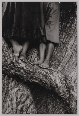 Graciela Iturbide (Mexican, born 1942). <em>La Ascensión (The Ascension), Chalma, State of Mexico</em>, 1984. Gelatin silver print, image: 12 x 8 in. (30.5 x 20.3 cm). Brooklyn Museum, Gift of Marcuse Pfeifer, 1990.119.31. © artist or artist's estate (Photo: Brooklyn Museum, 1990.119.31_PS20.jpg)