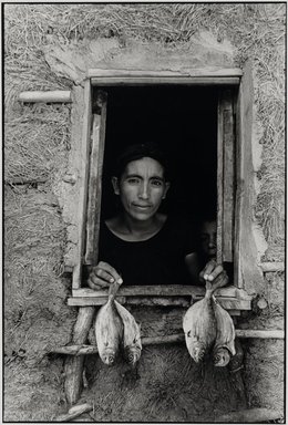 Graciela Iturbide (Mexican, born 1942). <em>Cuatro pescaditos (Four Fishes), Juchitán, Oaxaca</em>, 1986. Gelatin silver print, image: 12 x 8 in. (30.5 x 20.3 cm). Brooklyn Museum, Gift of Marcuse Pfeifer, 1990.119.38. © artist or artist's estate (Photo: Brooklyn Museum, 1990.119.38_PS2.jpg)