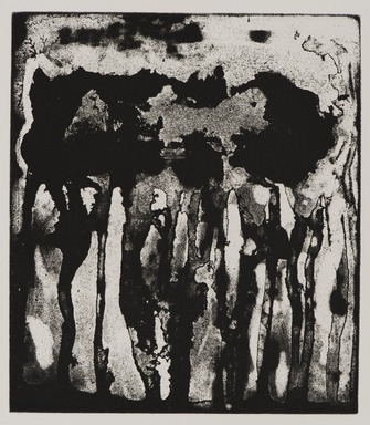 Pat Steir (American, born 1940). <em>Big Drip</em>, 1991. Rosin reversal aquatint etching on paper, sheet: 24 1/2 x 19 1/8 in. (62.2 x 48.6 cm). Brooklyn Museum, Gift of the Community Committee of the Brooklyn Museum, 1992.116.1. © artist or artist's estate (Photo: Brooklyn Museum, 1992.116.1_PS11.jpg)