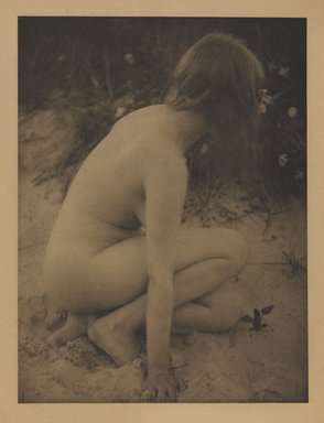 Alice Boughton (American, 1865-1943). <em>Sand and Wild Roses</em>, 1909. Photogravure, image: 8 1/4 x 6 1/4 in. (21 x 15.9 cm). Brooklyn Museum, Gift of Mitchell F. Deutsch, 1995.206.21 (Photo: , 1995.206.21_PS9.jpg)
