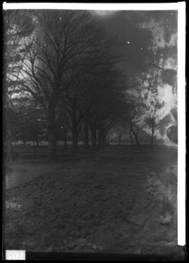 Daniel Berry Austin (American, born 1863, active 1899-1909). <em>The End of the Neck Road at Avenue U Ryders Pond, Gravesend</em>, Spring 1900. Gelatin silver glass dry plate negative Brooklyn Museum, Brooklyn Museum/Brooklyn Public Library, Brooklyn Collection, 1996.164.1-626 (Photo: , 1996.164.1-626_glass_bw_SL4.jpg)