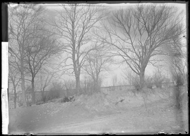 Daniel Berry Austin (American, born 1863, active 1899–1909). <em>Old Flatbush Road (Avenue) at Eastern Parkway Looking North at Sterling Place</em>, 1906. Gelatin silver glass dry plate negative Brooklyn Museum, Brooklyn Museum/Brooklyn Public Library, Brooklyn Collection, 1996.164.1-823 (Photo: , 1996.164.1-823_glass_bw_SL4.jpg)