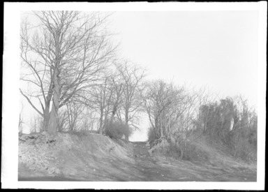 Daniel Berry Austin (American, born 1863, active 1899–1909). <em>Old Flatbush Road (Avenue) at Eastern Parkway Looking North at Lincoln Place</em>, 1906. Gelatin silver glass dry plate negative Brooklyn Museum, Brooklyn Museum/Brooklyn Public Library, Brooklyn Collection, 1996.164.1-824 (Photo: , 1996.164.1-824_glass_bw_SL4.jpg)