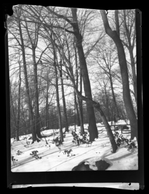 Raoul Froger-Doudement (American, born France, active 1890s–1900s). <em>[Untitled]</em>, ca. 1900. Glass plate negative Brooklyn Museum, Brooklyn Museum/Brooklyn Public Library, Brooklyn Collection, 1996.164.3-37 (Photo: , 1996.164.3-37_bw_SL4.jpg)