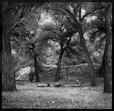 Gary Tepfer (American, born 1951). <em>Ritual Sweat in Cotton Woods, Canyon del Muerto in Canyon de Chelly</em>, 1995. Cibachrome print, image: 15 1/4 x 15 1/4 in. (38.7 x 38.7 cm). Brooklyn Museum, Purchase gift of Daniel M. Berley, 1997.89.3. © artist or artist's estate (Photo: Brooklyn Museum, 1997.89.3_bw.jpg)