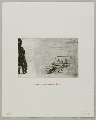 Amy Sillman (American, Detroit, MI, born 1955). <em>A Bad Trip in a National Forrest</em>, 1999. Etching on paper, sheet: 11 1/4 x 9 in. (28.6 x 22.9 cm). Brooklyn Museum, Gift of the Lower East Side Printship in honor of Marilyn Kushner, 1999.119.10. © artist or artist's estate (Photo: Brooklyn Museum, 1999.119.10_PS20.jpg)