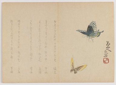  <em>Two Butterflies</em>, ca. 1860. Woodblock print; horizontal Chûban yoko-e format, 7 1/16 x 9 13/16 in. (17.9 x 24.9 cm). Brooklyn Museum, Gift of Dr. Eleanor Z. Wallace in memory of her husband, Dr. Stanley L. Wallace, 2002.121.28 (Photo: Brooklyn Museum, 2002.121.28_IMLS_PS3.jpg)
