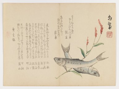 Chôsui Yabu (Japanese, active 1830–1864). <em>Fish with Reed</em>, 1863. Woodblock print; horizontal chûban format, 7 3/8 x 9 5/8 in. (18.7 x 24.4 cm). Brooklyn Museum, Gift of Dr. Eleanor Z. Wallace in memory of her husband, Dr. Stanley L. Wallace, 2002.121.9 (Photo: Brooklyn Museum, 2002.121.9_IMLS_PS3.jpg)