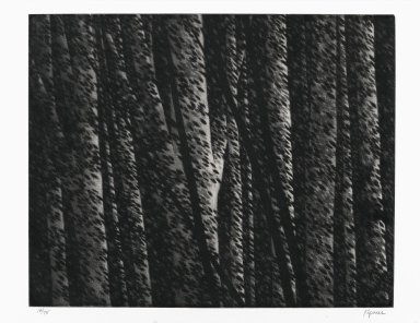 Robert Kipniss (American, born 1931). <em>Forest nocturne II</em>. Mezzotint, Sheet: 13 3/4 x 17 in. (34.9 x 43.2 cm). Brooklyn Museum, Gift of James F. White, 2006.16.1. © artist or artist's estate (Photo: Brooklyn Museum, 2006.16.1_PS1.jpg)
