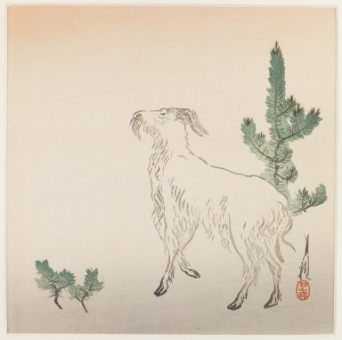 Ogata Gekko (Japanese, 1859-1920). <em>Goat</em>, ca. 1890-1910. Color woodblock print on paper, 9 x 9 1/8 in. (22.9 x 23.2 cm). Brooklyn Museum, Gift of the Estate of Dr. Eleanor Z. Wallace, 2007.32.60 (Photo: Brooklyn Museum, 2007.32.60_IMLS_PS3.jpg)