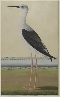  <em>Water Bird in a Landscape</em>, ca. 1780. Opaque watercolor on paper, with frame: 27 1/2 x 19 1/2 x 3/4 in. (69.9 x 49.5 x 1.9 cm). Brooklyn Museum, Bequest of Dr. Bertram H. Schaffner, 2010.48.61 (Photo: Brooklyn Museum, 2010.48.61_PS4.jpg)