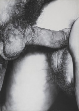 Betty Tompkins (American, born 1945). <em>Fuck Painting #6</em>, 1973. Acrylic on canvas, 83 1/4 × 60 × 1 1/2 in. (211.5 × 152.4 × 3.8 cm). Brooklyn Museum, Gift of Robert Gober and Donald Moffett, 2016.23. © artist or artist's estate (Photo: , 2016.23_PS9.jpg)