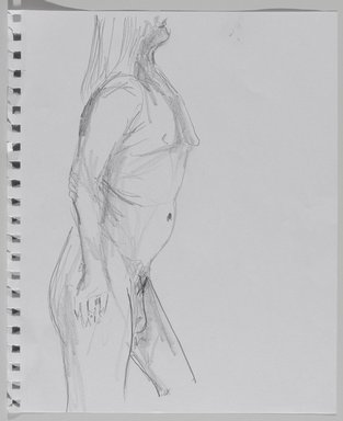 Jeremy Deller (British, born 1966). <em>Untitled (Standing Pose) from Iggy Pop Life Class by Jeremy Deller</em>, 2016. Graphite pencil on paper, 11 × 9 in. (27.9 × 22.9 cm). Brooklyn Museum, Brooklyn Museum Collection, 2016.3.8a. © artist or artist's estate (Photo: Brooklyn Museum, 2016.3.8a_PS9.jpg)