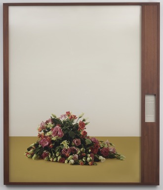 Taryn Simon (American, born 1975). <em>Comprehensive Claims Settlement Agreement Between Libya and the United States.  Tripoli, Libya, August 14, 2008</em>, 2015. Inkjet print, herbarium paper, mahogany wood frame, frame: 85 × 73 1/4 × 2 3/4 in. (215.9 × 186.1 × 7.0 cm). Brooklyn Museum, Gift of the artist and Gagosian Gallery, 2021.6. © artist or artist's estate (Photo: Brooklyn Museum, 2021.6_PS11.jpg)