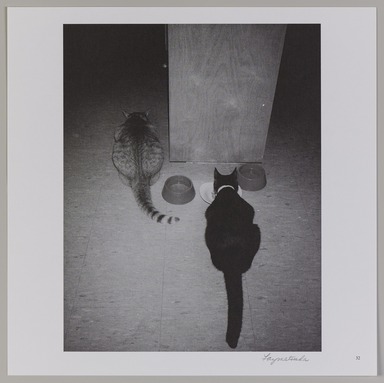 Fay Chew Matsuda (American, 1949–2020). <em>Cats</em>, 1997; published 1999, distributed 2022. Offset lithograph, sheet: 10 3/4 × 10 3/4 in. (27.3 × 27.3 cm). Brooklyn Museum, Gift of Eugenie Tsai, 2022.10.32 (Photo: Brooklyn Museum, 2022.10.32_PS20.jpg)