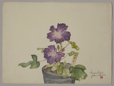 Chiura Obata (American, born Japan, 1885 – 1975). <em>Morning Glories in Pot</em>, July 29, 1936., 15 1/2 × 20 3/4 in. (39.4 × 52.7 cm). Brooklyn Museum, Gift of the Estate of Chiura Obata, in honor of the Brooklyn Museum's 200th Anniversary, with additional support from the Alfred T. White Fund, 2023.16.10. © artist or artist's estate (Photo: Brooklyn Museum, 2023.16.10_PS11.jpg)