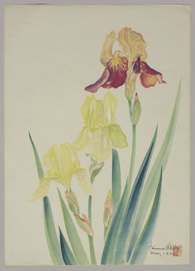 Chiura Obata (American, born Japan, 1885 – 1975). <em>Three Irises</em>, May 1945. Watercolor on paper, 18 1/2 × 13 1/4 in. (47 × 33.7 cm). Brooklyn Museum, Gift of the Estate of Chiura Obata, in honor of the Brooklyn Museum's 200th Anniversary, with additional support from the Alfred T. White Fund, 2023.16.11. © artist or artist's estate (Photo: Brooklyn Museum, 2023.16.11_PS11.jpg)