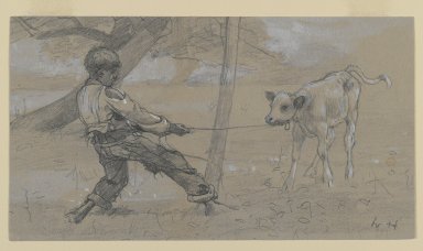 Winslow Homer (American, 1836-1910). <em>Study for "The Unruly Calf,"</em> ca. 1875. Graphite and white opaque watercolor on blue-grey, moderately thick, moderately textured wove paper, Sheet: 4 11/16 x 8 1/2 in. (11.9 x 21.6 cm). Brooklyn Museum, Museum Collection Fund, 24.241 (Photo: Brooklyn Museum, 24.241_PS2.jpg)