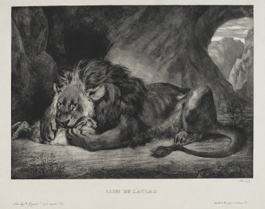 Eugène Delacroix (French, 1798-1863). <em>Lion de l'Atlas</em>, 1829. Lithograph on wove paper, Image: 12 15/16 x 18 1/16 in. (32.8 x 45.8 cm). Brooklyn Museum, Gift of Frank L. Babbott, 25.136 (Photo: Brooklyn Museum, 25.136_PS2.jpg)