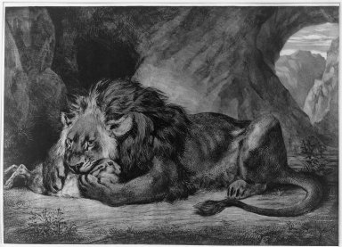 Eugène Delacroix (French, 1798-1863). <em>Lion de l'Atlas</em>, 1829. Lithograph on wove paper, Image: 12 15/16 x 18 1/16 in. (32.8 x 45.8 cm). Brooklyn Museum, Gift of Frank L. Babbott, 25.136 (Photo: Brooklyn Museum, 25.136_acetate_bw.jpg)