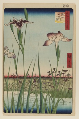 Utagawa Hiroshige (Japanese, 1797–1858). <em>Horikiri Iris Garden (Horikiri no Hanashobu), No. 64 from One Hundred Famous Views of Edo</em>, 5th month of 1857. Woodblock print, Sheet: 14 3/16 x 9 5/16 in. (36.1 x 23.6 cm). Brooklyn Museum, Gift of Anna Ferris, 30.1478.64 (Photo: Brooklyn Museum, 30.1478.64_PS20.jpg)