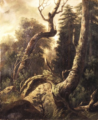Formerly attributed to Asher B. Durand (American, 1796-1886). <em>Forest Landscape</em>, ca. 1850s. Oil on canvas, 21 15/16 x 18 1/16 in. (55.8 x 45.9 cm). Brooklyn Museum, Gift of Alfred W. Jenkins, 30.966 (Photo: Brooklyn Museum, 30.966_transp1055.jpg)