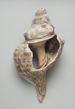 Maya. <em>Conch Shell Trumpet</em>, 250-850. Conch shell, pigment, 4 1/2 × 7 1/2 × 12 in. (11.4 × 19.1 × 30.5 cm). Brooklyn Museum, A. Augustus Healy Fund, 35.1484. Creative Commons-BY (Photo: Brooklyn Museum, 35.1484_PS11.jpg)