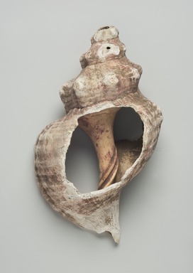 Maya. <em>Conch Shell Trumpet</em>, 250-850. Conch shell, pigment, 5 1/2 × 7 × 13 1/4 in. (14 × 17.8 × 33.7 cm). Brooklyn Museum, A. Augustus Healy Fund, 35.1486. Creative Commons-BY (Photo: Brooklyn Museum, 35.1486_PS11.jpg)