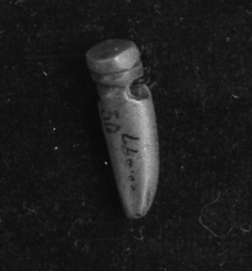  <em>Tooth Pendant</em>. Jade Brooklyn Museum, Alfred W. Jenkins Fund, 35.597. Creative Commons-BY (Photo: Brooklyn Museum, 35.597_acetate_bw.jpg)