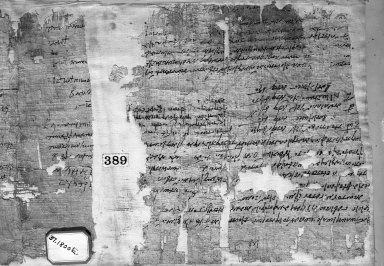  <em>Papyrus Fragments Inscribed in Greek</em>, 303 C.E. Papyrus, ink, Glass: 11 5/16 x 27 1/2 in. (28.8 x 69.8 cm). Brooklyn Museum, Charles Edwin Wilbour Fund, 37.1800E (Photo: Brooklyn Museum, 37.1800E_negA_bw_IMLS.jpg)