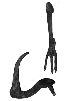  <em>Head of an Ibis</em>, 664-332 B.C.E. Bronze, 6 5/16 x 1 9/16 x 5 1/2 in. (16.1 x 3.9 x 14 cm). Brooklyn Museum, Charles Edwin Wilbour Fund
, 37.385Ea. Creative Commons-BY (Photo: Brooklyn Museum, 37.385E_NegC_glass_bw_SL4.jpg)