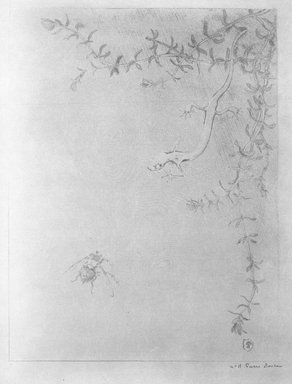Pierre Roche (French, 1855-1922). <em>La Salamandre</em>, 1895. Lithograph on wove paper, 9 5/8 x 7 3/8 in. (24.5 x 18.7 cm). Brooklyn Museum, Charles Stewart Smith Memorial Fund, 38.424 (Photo: Brooklyn Museum, 38.424_bw.jpg)