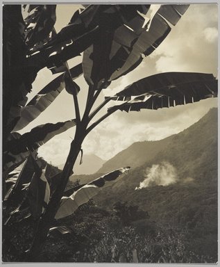 Gordon C. Abbott (American, 1882–1951). <em>Morning in the Tropics</em>. print, sheet: 11 5/8 x 9 5/8 in. (29.5 x 24.4 cm). Brooklyn Museum, Gift of the artist, 40.706 (Photo: Brooklyn Museum, 40.706_PS9.jpg)