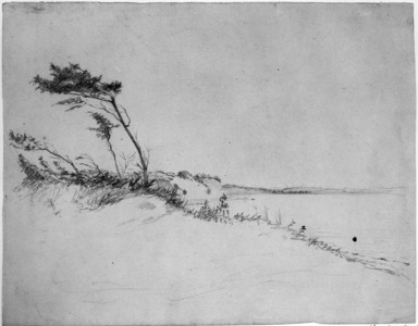 William Sidney Mount (American, 1807-1868). <em>Trees in Wind</em>, n.d. Graphite on paper, Sheet: 10 5/8 x 13 7/16 in. (27 x 34.1 cm). Brooklyn Museum, Augustus Graham School of Design Fund, 42.252 (Photo: Brooklyn Museum, 42.252_bw_IMLS.jpg)